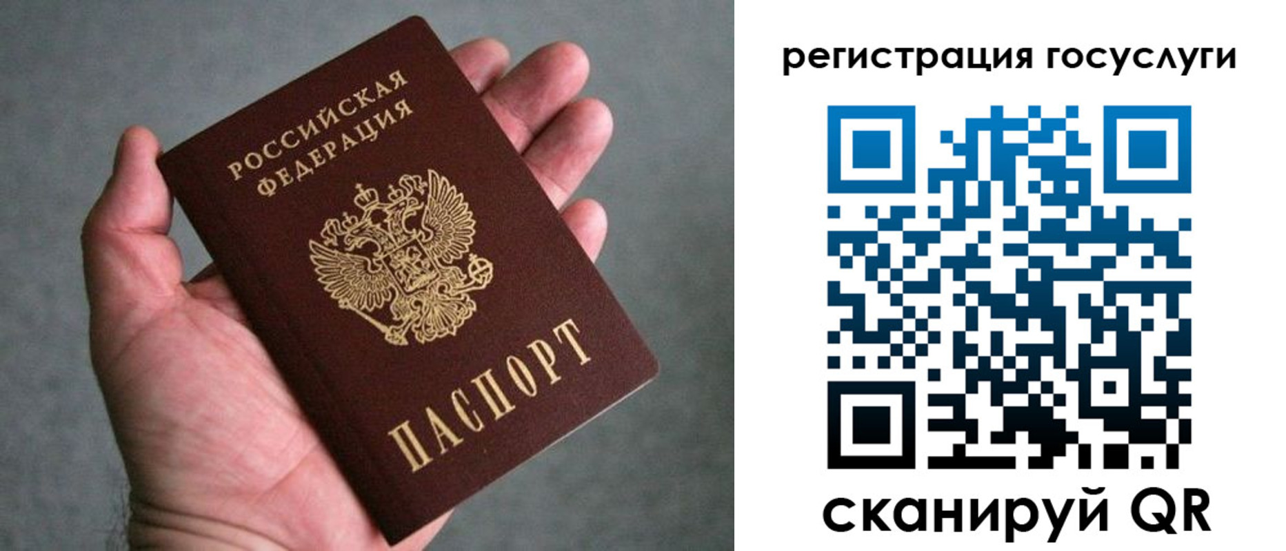 прописка поиск в Боготоле